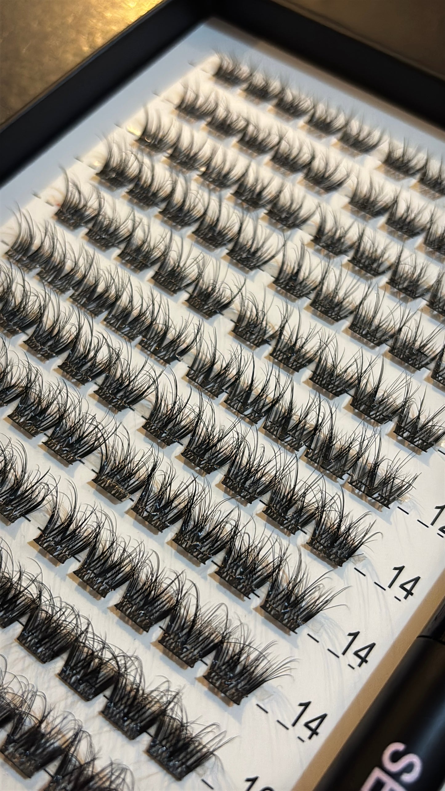 AIRE - Wispy Volume Kit